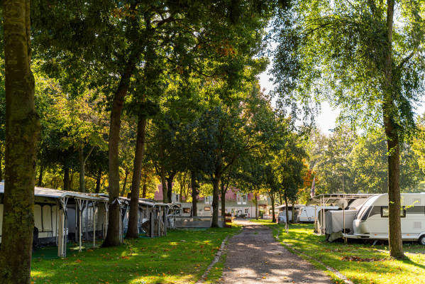 Wohnmobile und Wohnwagen auf Stellplätzen mit Bäumen im Sonnenlicht auf dem Campingplatz von Baltic Freizeit.