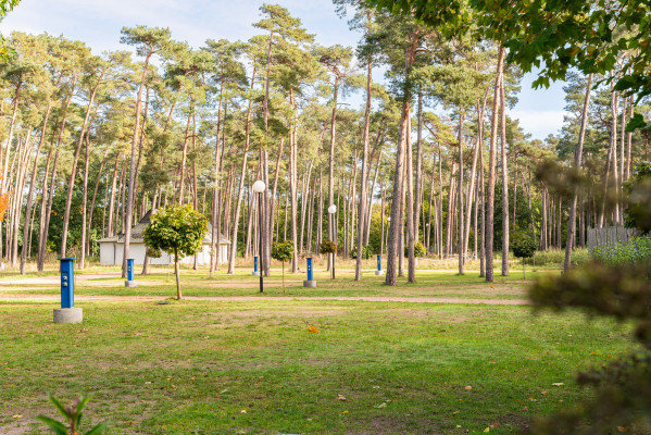 Parzellen für Stellplätze unter Bäumen im Sonnenlicht auf dem Campingplatz Baltic Freizeit in Markgrafenheide.
