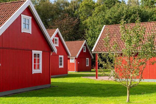 Rote Holzhäuser umgeben von grünen Bäumen und Wiese auf dem Campingplatz Baltic Freizeit in Markgrafenheide.