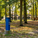 Stromanschluss für Stellplätze unter Bäumen im Sonnenlicht auf dem Campingplatz Baltic Freizeit in Markgrafenheide.