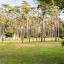 Parzellen für Stellplätze unter Bäumen im Sonnenlicht auf dem Campingplatz Baltic Freizeit in Markgrafenheide.