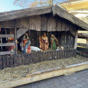 Krippe